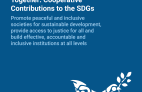Policy Brief - SDG 16 - Peace, justice and strong institutions